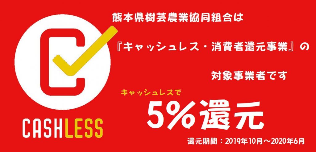 キャッシュレス ポイント還元事業 熊本県樹芸農業協同組合