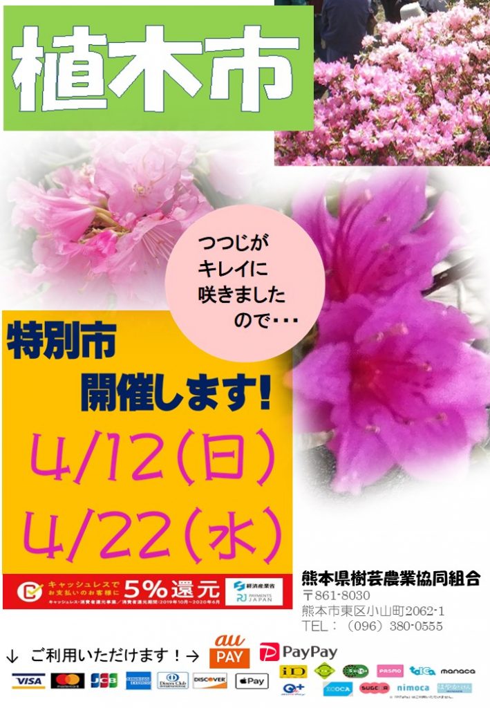 つつじ祭り開催 熊本県樹芸農業協同組合